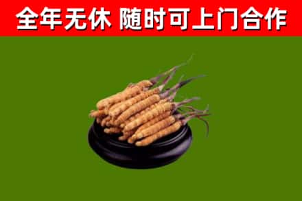 汉川烟酒回收冬虫夏草.jpg